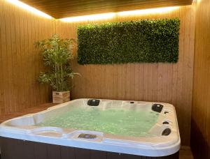 a jacuzzi tub in a room with a plant at Porto N&aacute;utico & Spa in Porto
