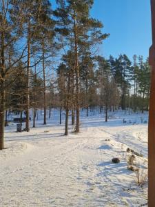 un campo cubierto de nieve con árboles en el fondo en Grundenberga en Baldone