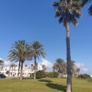 Zdjęcie z galerii obiektu Apartamento Naufragos w mieście Torrevieja