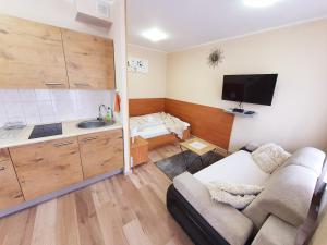 Televízia a/alebo spoločenská miestnosť v ubytovaní ApartHouse Apartamenty Centrum - In the city center Near the train station