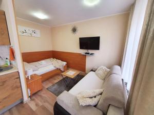 Televízia a/alebo spoločenská miestnosť v ubytovaní ApartHouse Apartamenty Centrum - In the city center Near the train station