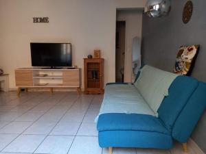 un salon avec un canapé bleu et une télévision dans l'établissement Meuble maison vigneronne, à Saint-André-de-Sangonis