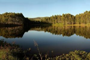 een meer met bomen die reflecteren in het water bij Boschoek Farm in Tzaneen