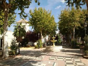 Zahrada ubytování Apartment Lucena Center Atico Parking Gratis