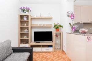 TV a/nebo společenská místnost v ubytování Apartment Ana Chill in Bast