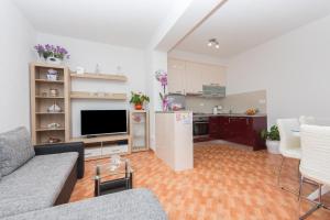 Kuchyň nebo kuchyňský kout v ubytování Apartment Ana Chill in Bast