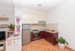 Kuchyň nebo kuchyňský kout v ubytování Apartment Ana Chill in Bast