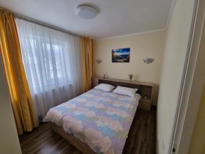 een slaapkamer met een bed en een raam bij 11 RESIDENCE APARTMENT in Cavnic