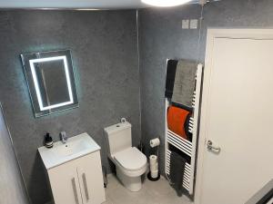 a bathroom with a toilet and a sink and a mirror at Dunlap Apartments in Strabane