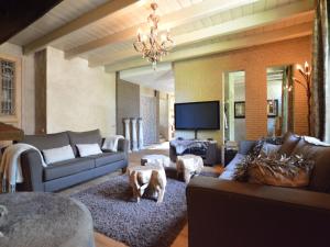 a living room with a dog laying on a rug at Grand Holiday Home in Alphen with Sauna in Alphen