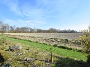 a field of grass with a large field in the background at Spacious Mansion with Meadow View in Bruinisse in Bruinisse