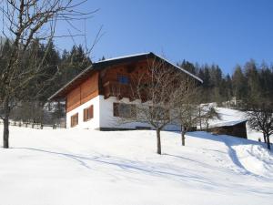 a cabin in the snow with trees in front at Lush Holiday Home in H ttau near Ski Area in Hüttau