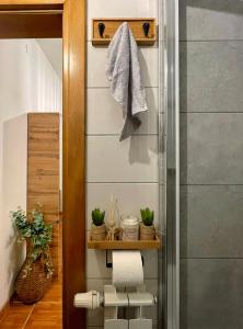 ein Badezimmer mit einer Dusche und einem Regal mit Pflanzen in der Unterkunft Studio Central Square in Gospić
