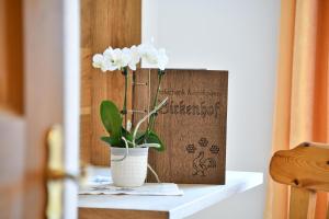 Fotografia z galérie ubytovania Birkenhof - Wohnung Bichel v destinácii Sluderno