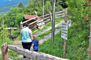 Príroda v okolí apartmánu