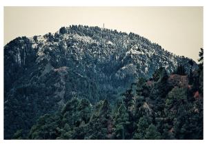 カナタルにあるKanatal Kuteerの木々が植えられた大山