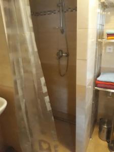 a shower in a bathroom with a glass door at Chata pod skalou in Haligovce