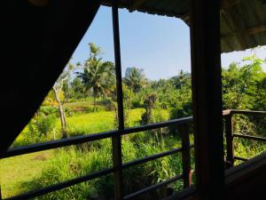 Jardín al aire libre en Sigiriya Paddy Field Hut