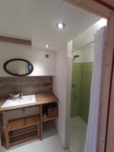 uma casa de banho com um lavatório e um chuveiro em La Chaine du Mont-blanc em Chamonix-Mont-Blanc