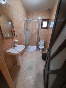 a bathroom with a shower and a sink and a toilet at Pensiunea Maria-Elena in Ponoarele +53 photos