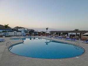 a large swimming pool with lounge chairs in a resort at Holiday Beach Resort in Dibba
