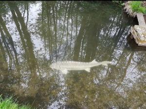 Výhled na řeku, která protéká v blízkosti farmy