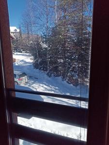 Foto de la galería de Apartments Dobra Vila en Zlatibor