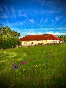 un antiguo edificio en un campo de hierba con flores en Le Bouyssou, en Cazes-Mondenard