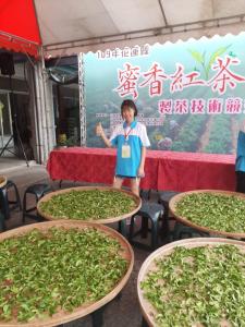 Majutusasutuse Dong Li Tea Homestay külastajad