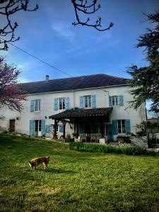 a cat walking in front of a large white house at Le Bouyssou in Cazes-Mondenard