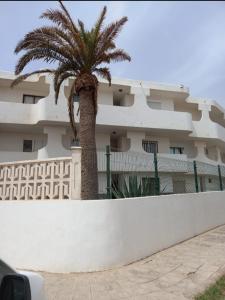 een palmboom voor een wit gebouw bij Casa mary in Costa de Antigua