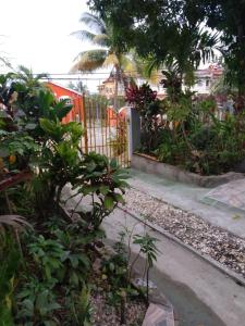 einen Garten mit einem Zaun sowie Bäumen und Pflanzen in der Unterkunft Aquamarine Ave in Montego Bay