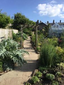 een tuin met een houten pergola en enkele planten bij The Hermitage in Great Torrington