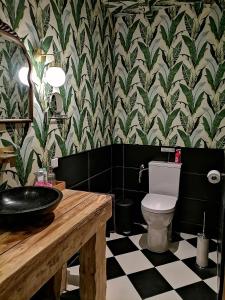 een badkamer met een toilet en een zwart-wit geruite vloer bij Villa Le Jardin in Oude Pekela
