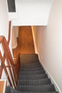 a flight of stairs with a chair and a stair runner at Jewel Guest House in Aberdeen