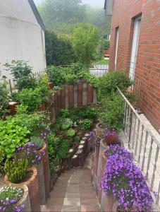 een tuin met bloemen en planten op een balkon bij Faridd Ferienwohnung in Krefeld