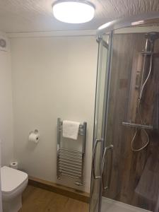a bathroom with a shower and a toilet at The Old Hay Loft in Kirkby Lonsdale