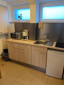 a kitchen with a sink and a microwave at Ihr Apartment in der Natur in Schwerte