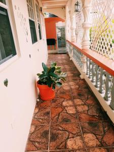 Un balcón o terraza en Essentials Suite