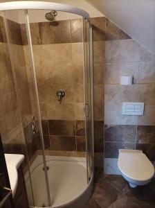 een badkamer met een douche en een toilet bij Penzion a restaurace U Maryny in Bocanovice