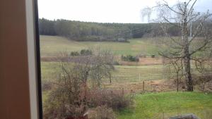 a view of a field from a window at Südblick in Röttenbach