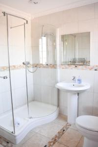 a bathroom with a shower and a sink and a toilet at St Marys House in Norwich