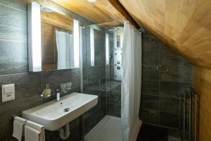 ein Bad mit einem Waschbecken und einer Dusche in der Unterkunft Jupi Hüsli in Göschenen