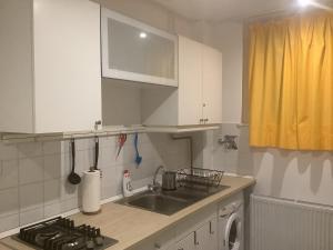 Kuchyň nebo kuchyňský kout v ubytování Poppy Flower Apartment
