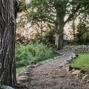 Paesaggio naturale nelle vicinanze dell'affittacamere