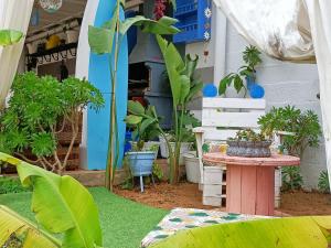 A garden outside Casa Bakara