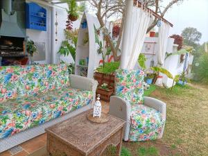A garden outside Casa Bakara