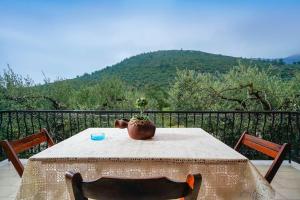 Gallery image of Olive's House in Skala Rachoniou +31 photos