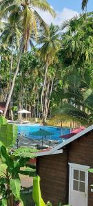 a house with a swimming pool and palm trees at Adhvasaha Beach Spa Resort in Port Blair