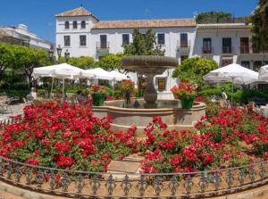 Zahrada ubytování Estepona port beachside apartment - Marina Bay